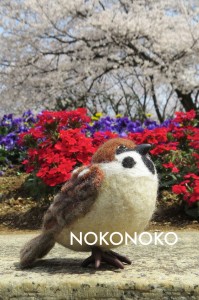 世田谷公園のすずめ