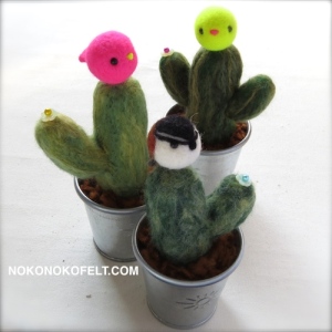 アカエリサボテンミソサザイ