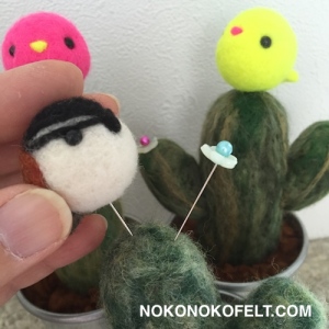 アカエリサボテンミソサザイ