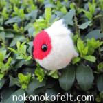 まんまることり　とき