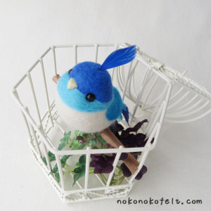 幸せの青い鳥　のこのこ　まんまることり