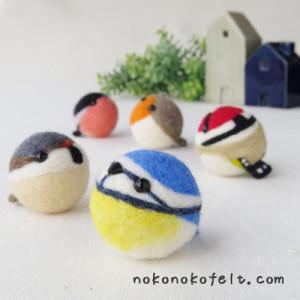 フランスの野鳥　まんまることり　のこのこ