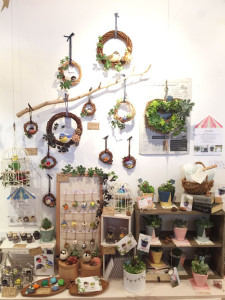 のこのこ　F de Zakka