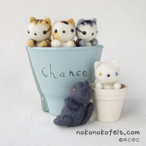 鉢に入った猫　のこのこ　F de Zakka コラボ作品