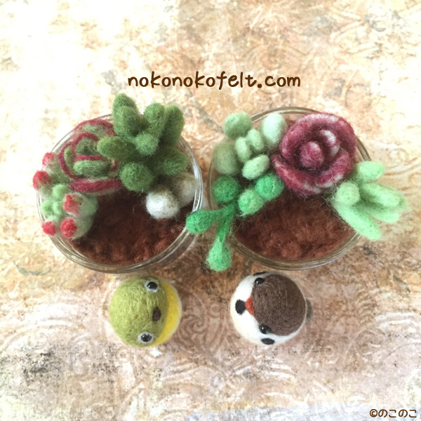 多肉植物　まんまることり　すずめ　めじろ