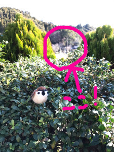 2017_1_kabegami_setumei